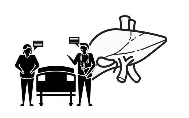 肾脏|身体4大器官,喜好各不相同!想保养它们,先了解这些知识