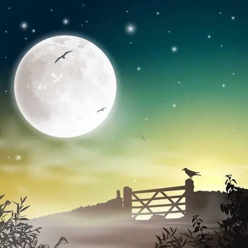 学习|盘点小升初语文常考的古诗词题型,小学古诗词学习重点是这个!