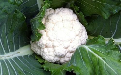 人到中年|人到中年要长寿,每天多吃3种食物,健脾养胃,降血压降血脂