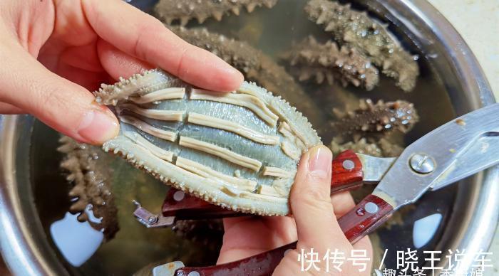厨娘|海参泡发,最忌直接加水泡,正确做法和要点详解,新手一次就成功