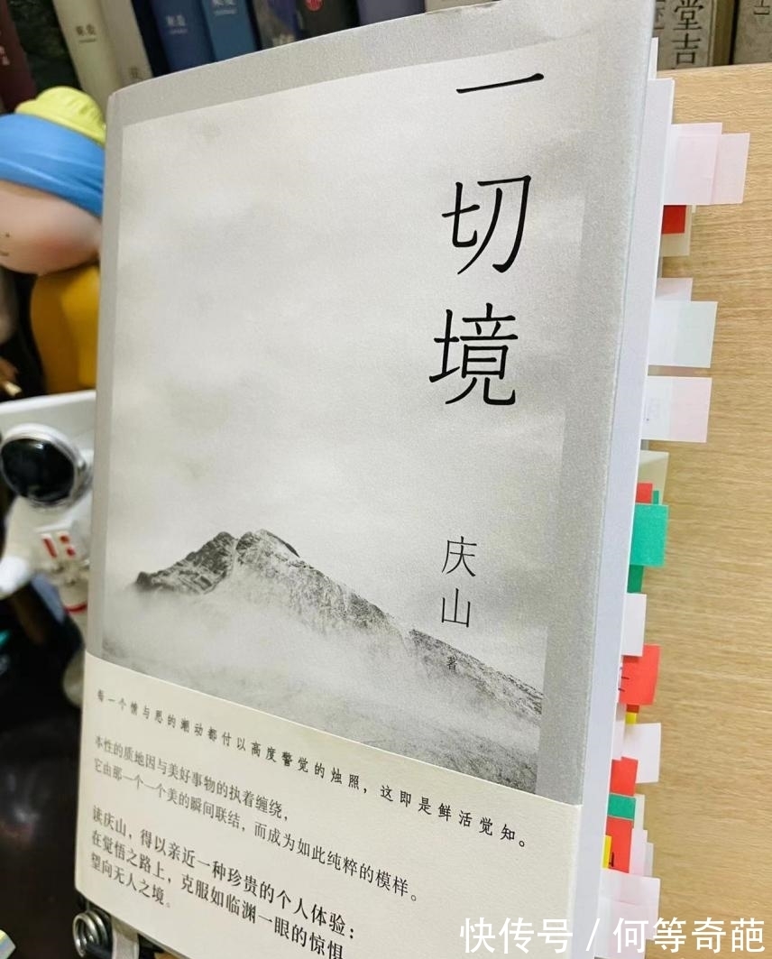 告别薇安!《一切境》一本充满力量和内省的书