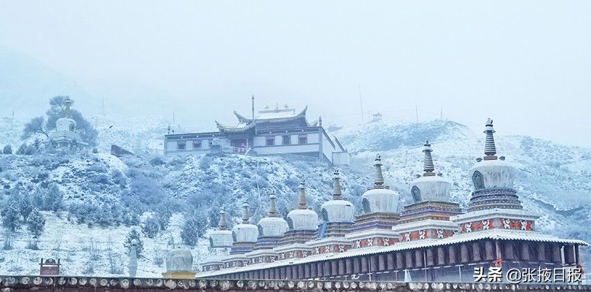 祁连山下忽如一夜“雪”飘来，千树万树“雪”花开