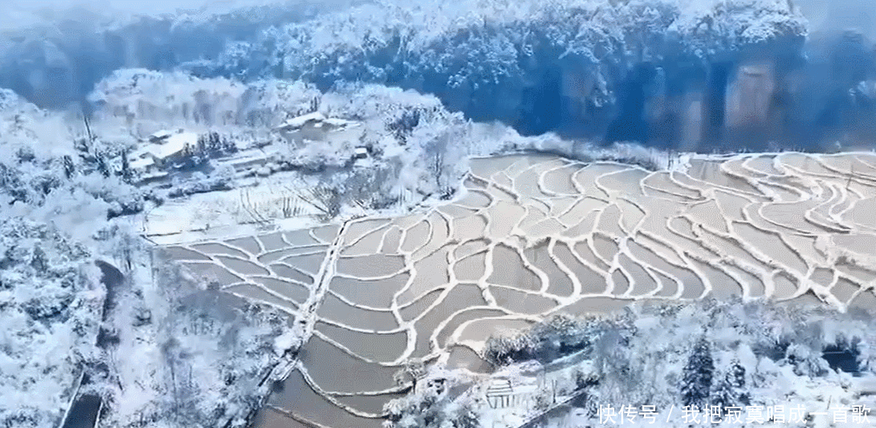 拥空中梯田，享土寨风情，张家界居然藏着一个“田园乌托邦”