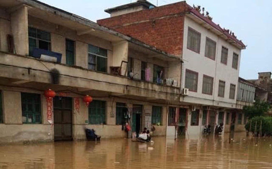 洪水过后去钓鱼,这么大的黄颡鱼,还是头一次钓获