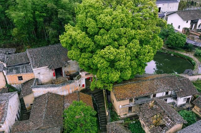 古村落|赣州第一美的古村落，白鹭古村