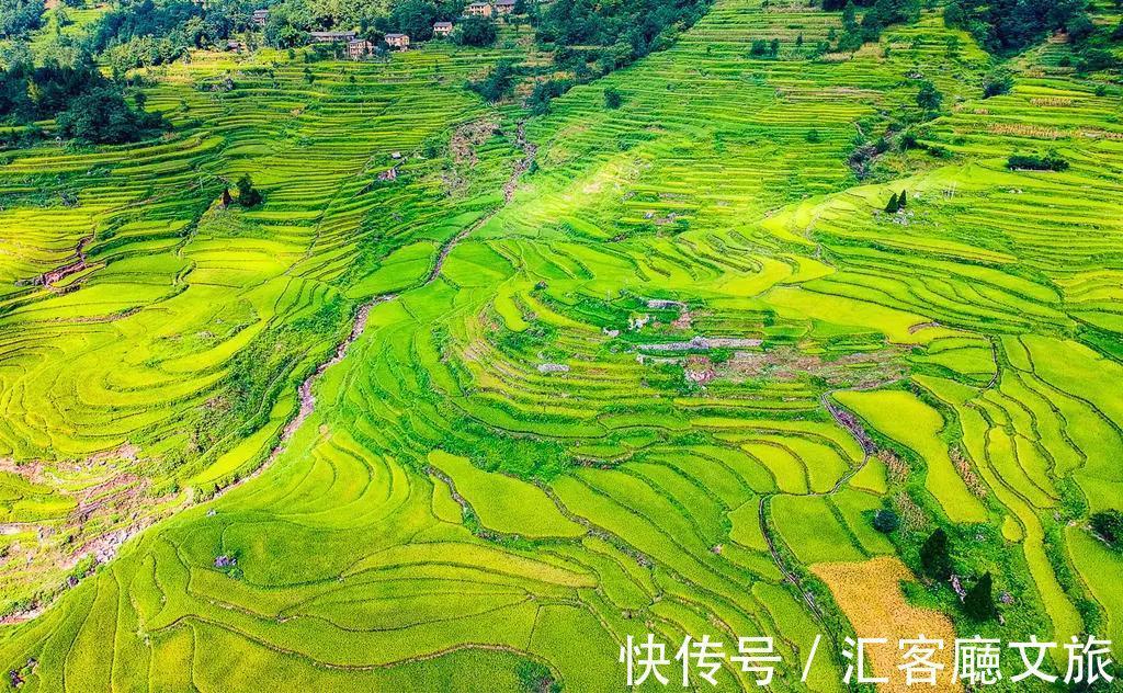 避暑胜地|重庆人私藏的避暑地，人少景美超清凉，挑一个去过22℃的夏天