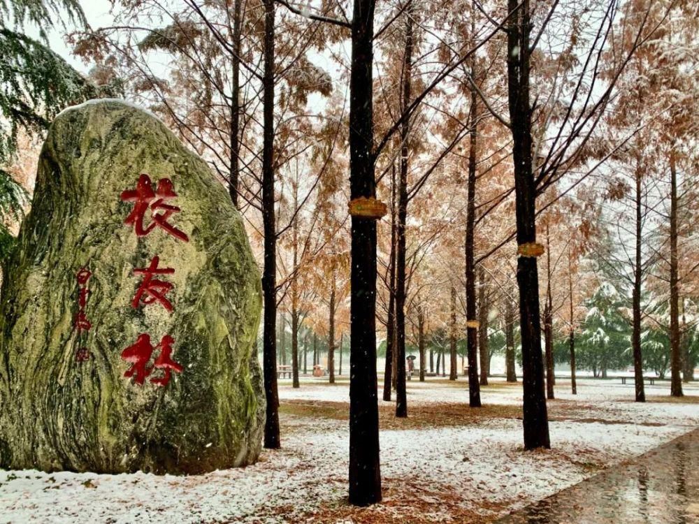 公众号|今日份心动！师大初雪2?2?