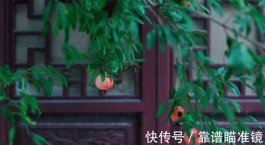 秋境|原创散文:此间秋天,无别事