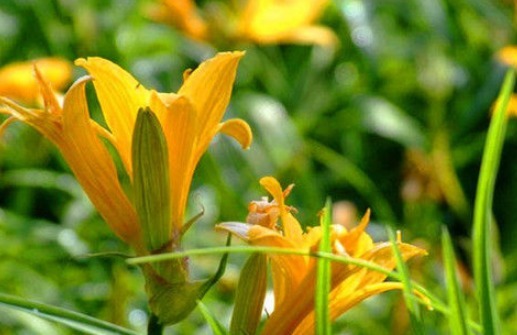 女性|女性不想子宫“脏脏的”,多吃4种食物,排出毒素,滋养女性子宫