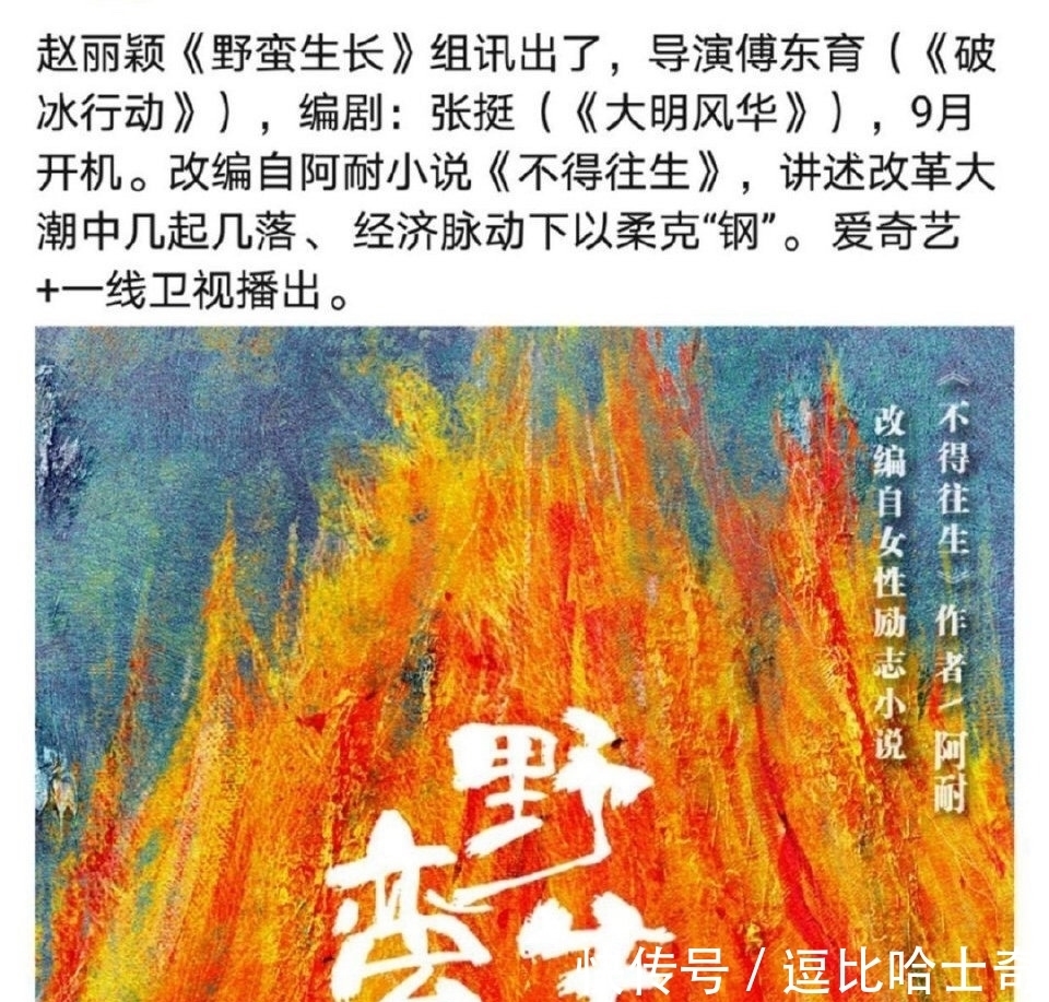 杨丽娟|当红俩明星粉丝口水大战上了热搜,央媒点评该整治粉丝经济了