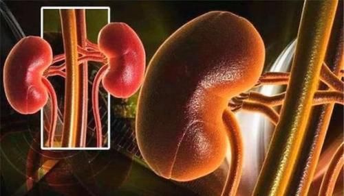 降压药|降压药一定要早上吃？医生告诉你最佳的服药时间