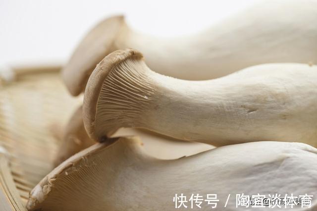 菌蕾|买杏鲍菇时，选大的好还是小的好？菜农：记住这5点，准没错