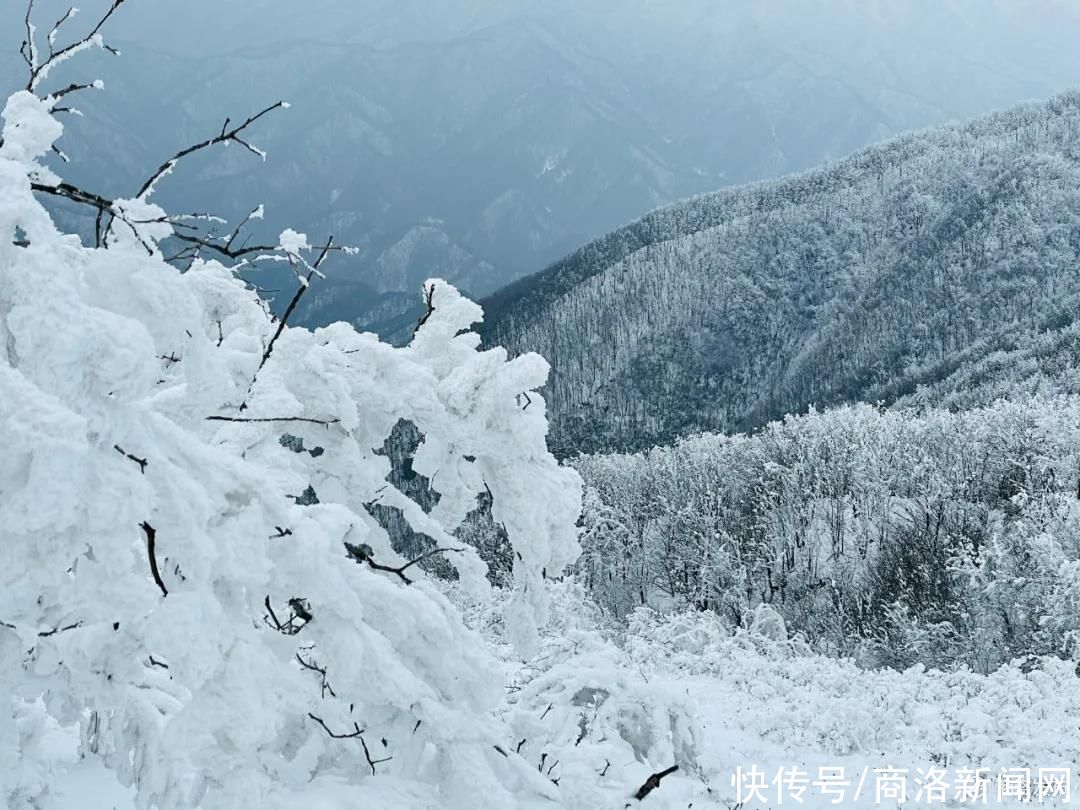 秦王|美！商州秦王山现冰雪树挂景观