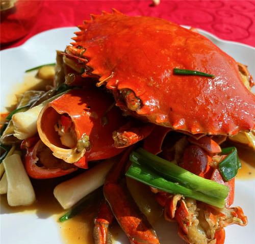 中年|日照旅游吃住行玩攻略，还不知道如何做功课的小伙伴们这些信息值得看