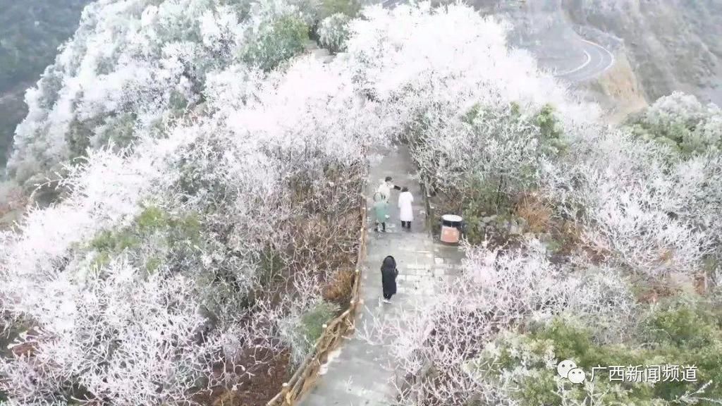 南丹、天峨、百色霧凇景觀美醉人，出行請注意......
