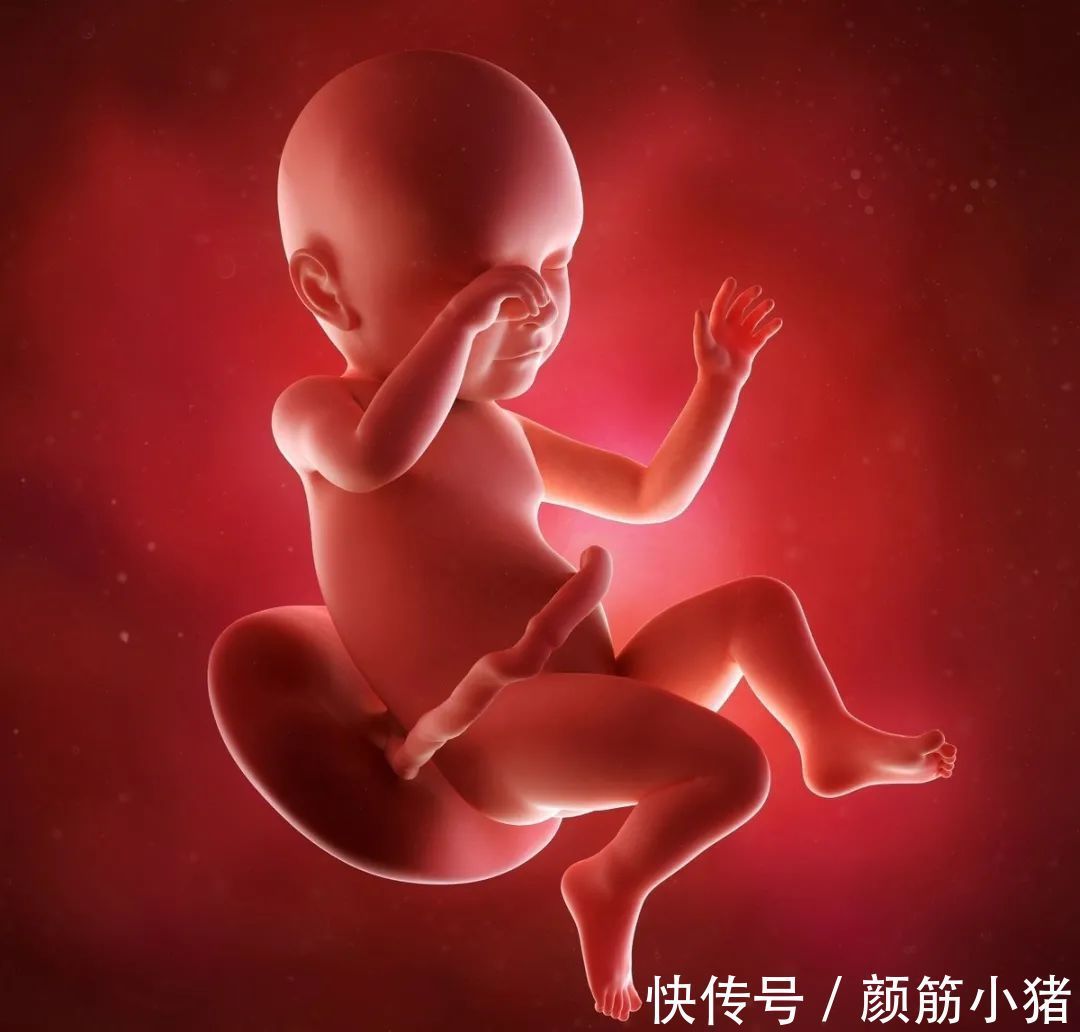 双顶径|怀孕最后一个月胎儿还会长多少和你想的不一样,了解一下涨知识