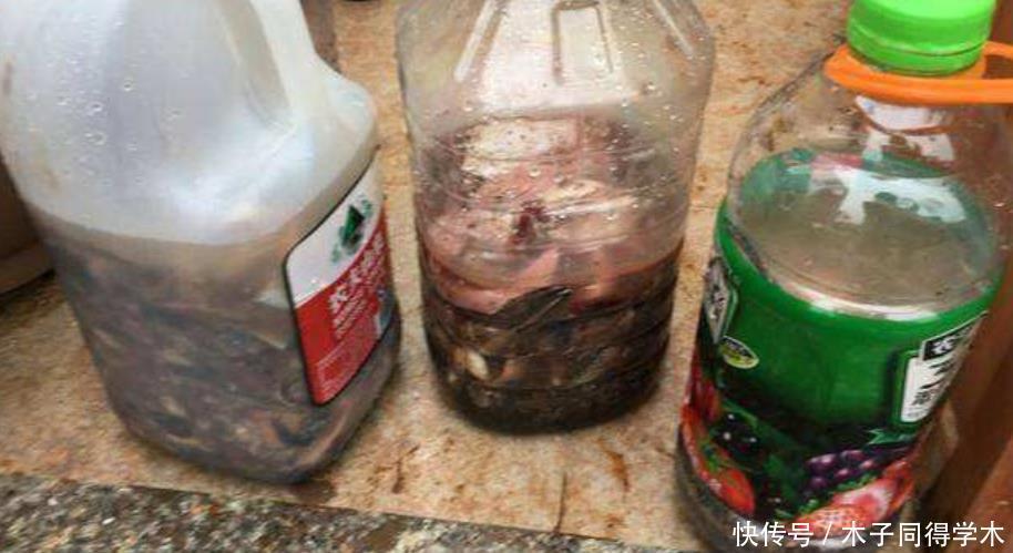 家庭中一些常见的东西,拿来养花是“宝贝”,效果不比买的肥料差