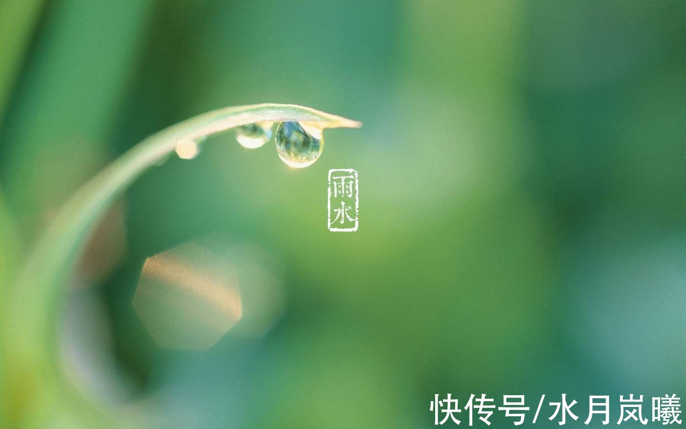 春雨！雨水：一场春雨，十里春风，愿你一路繁花向前，浅笑安然