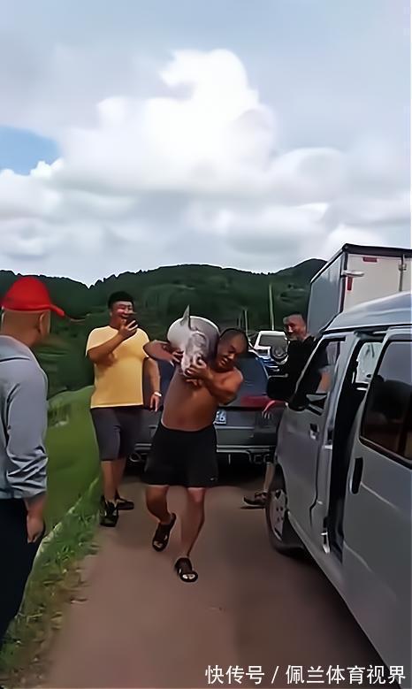 沈阳一水库鱼王被人钓起,有人想花1000买下放生
