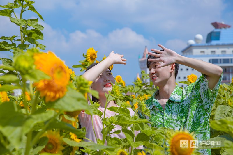 威尼斯|梦幻夏日，来青岛方特打卡花海宝藏地