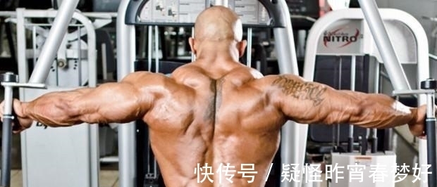 器械|对器械反向飞鸟的易错点进行分析,完成标准的器械反向飞鸟动作