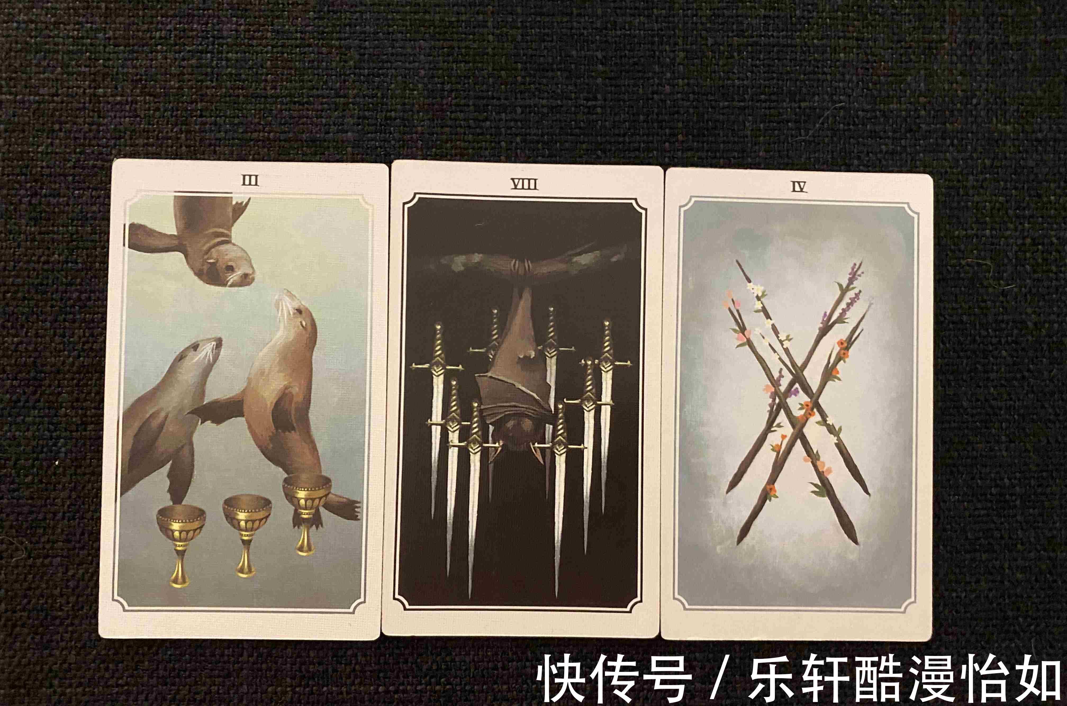 圣杯|莫莫塔罗，巨蟹座秋季运势一直没忘记，还会重新相遇吗