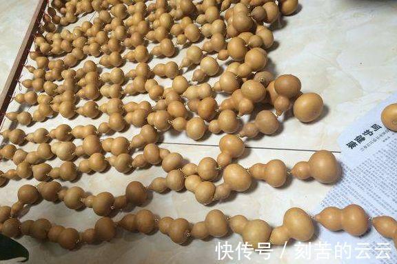 茶叶罐$牛x玩法! 这种葫芦的一定不能错过, 老玩家都在玩!