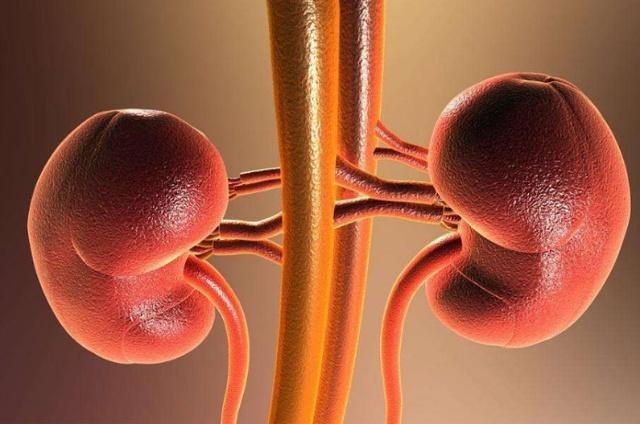 人体|男人肾好，睡前很少做5件事，尤其是第4个