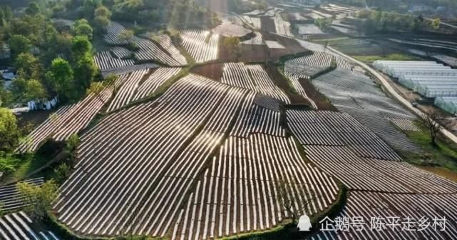 秦岭里有个山村很神奇，从空中看大地光芒四射很刺眼，怎么回事？