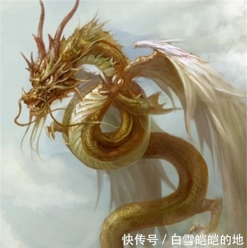左青龙 右白虎 前朱雀 后玄武 中间是什么 可别答 二百五 快资讯