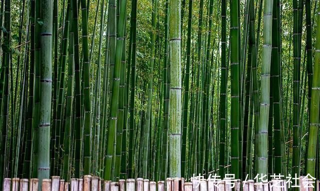 诗词@李璟李煜父子两首冷门诗词,读来回肠荡气,千年后惊艳人心