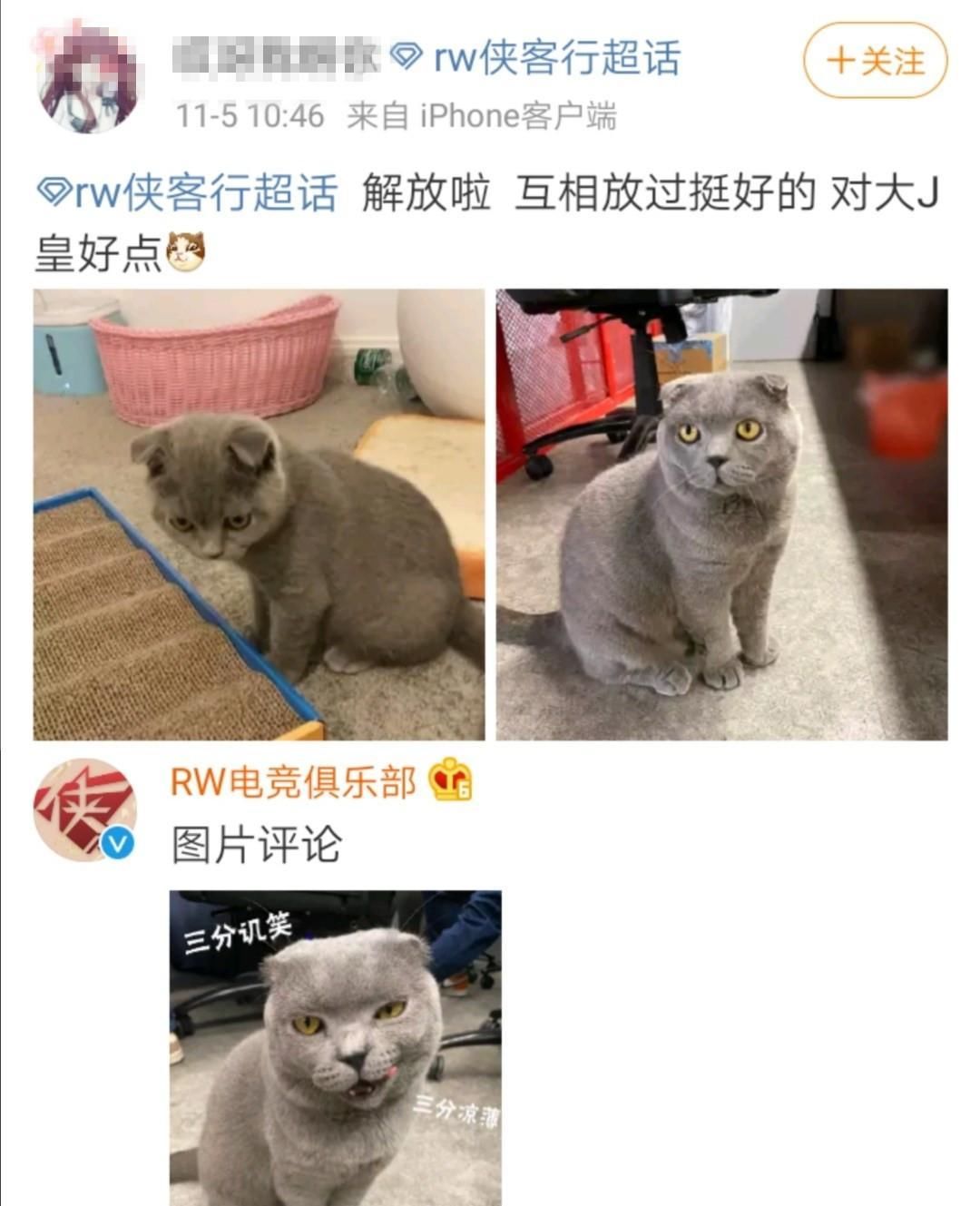 大战|LPL转会传闻，两大战队被收购，RW美工成抢手商品？
