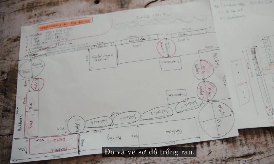 德国主妇将8㎡阳台打造成菜园，不花一分钱种够全家吃的菜