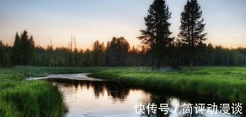 鱼的寿命到底有多长？为什么说有水的地方就有鱼？