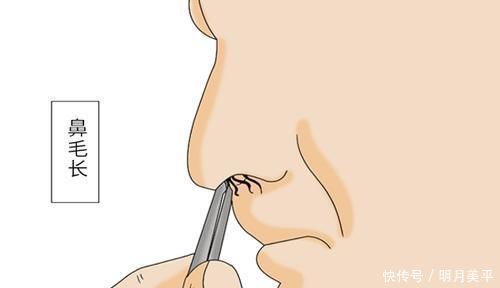 肺部|为何鼻毛总是“冒”出鼻外,说明了什么?能不能直接拔掉?