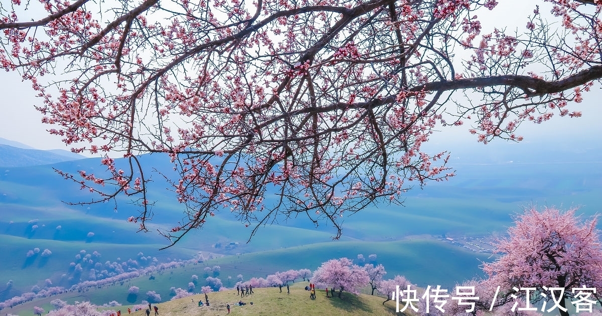 王维|九首情谊古诗词:青山空向一帆远,汀州落日五湖春