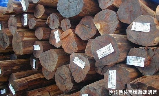 世界上最硬的木头,最迷人的花纹,但却有个致命缺点