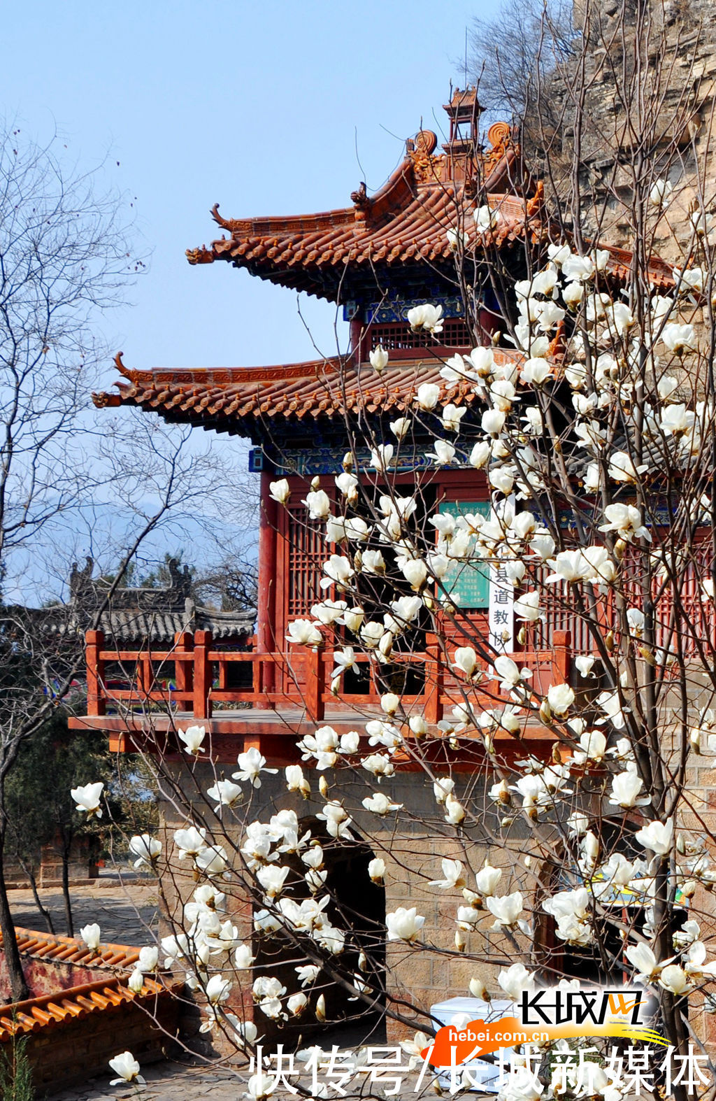 「高清组图」花开燕赵·美丽河北｜花开天桂山