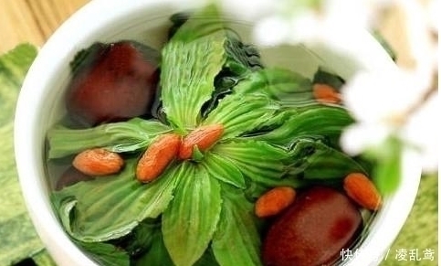 野草|农村此野草煮水喝,清肝明目,治小便不通,功效很牛,可别错过了