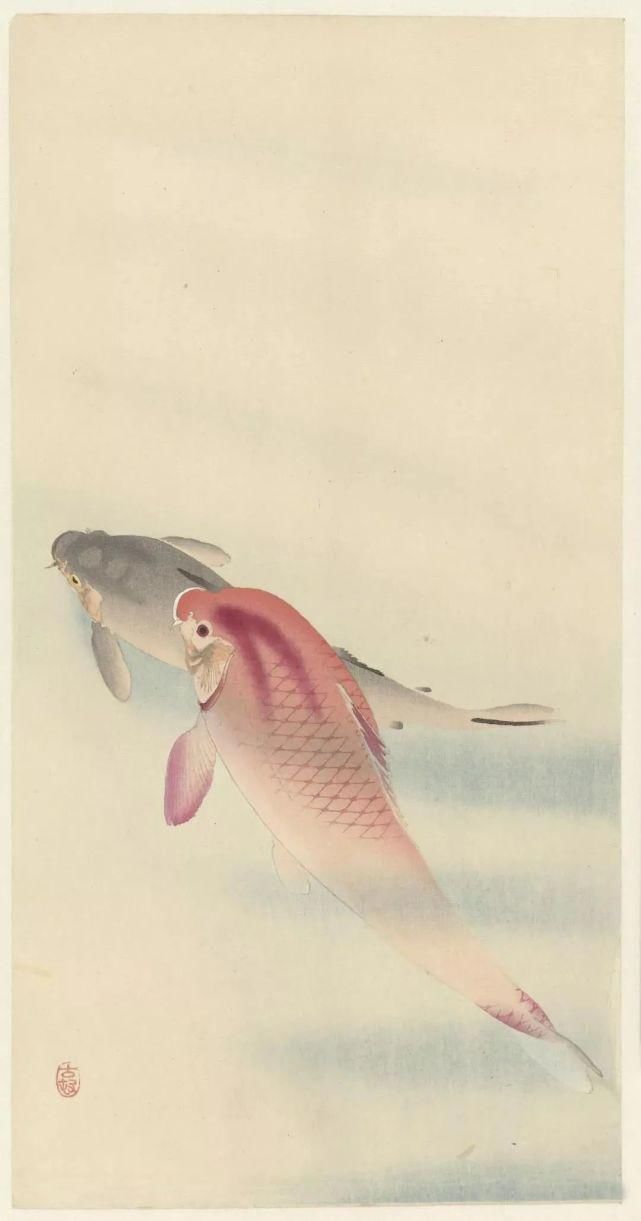 日本绘画大师的花鸟画，淡雅清新