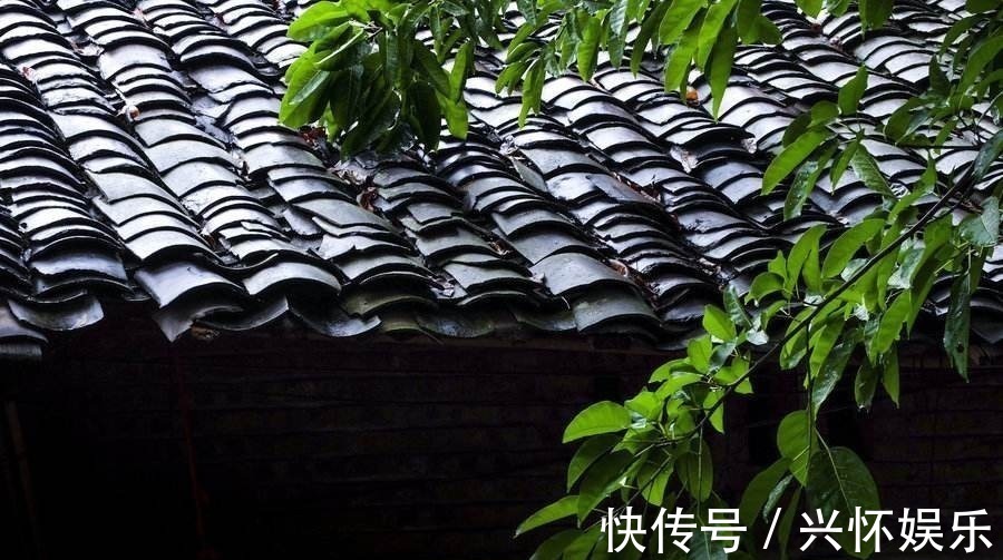 唐诗#王安石最精彩的怀古宋词,两句唐诗的运用很是亮眼,乃是千古佳作