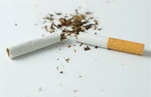 共性|寿命长的男性,往往有5个“共性”,若你如此,多少人羡慕不来