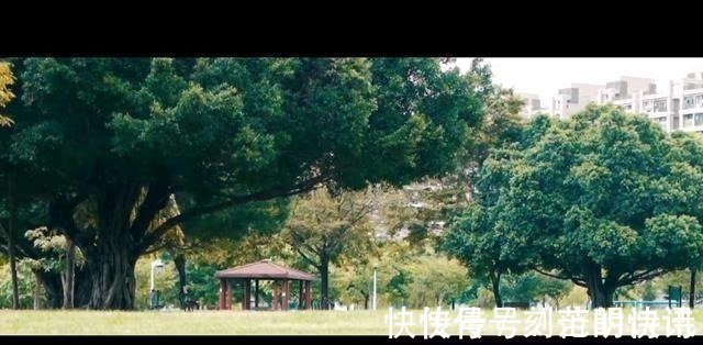 木饰面|买下人生最后一个家,96㎡装修朴实又高级,在此相伴余生