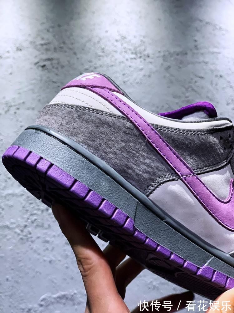 颜值爆表|黑鸽子见多了看看这款颜值爆表的紫鸽子吧!