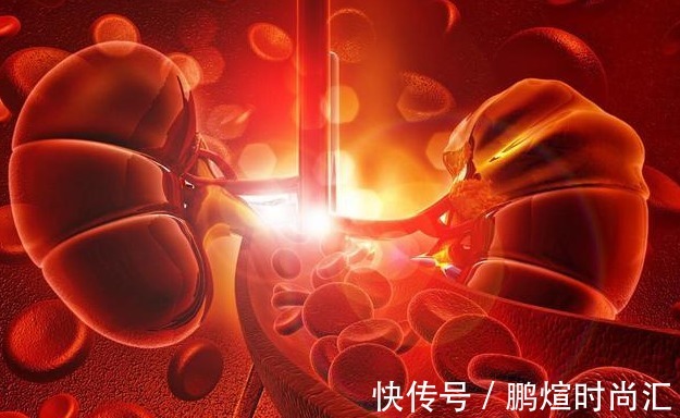 肾亏损|补肾“王牌”终于发现!不是猪腰子,没事常喝,肾越来越“强壮”