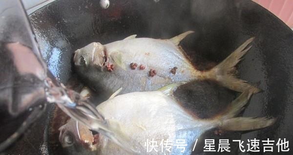 红烧鲳鱼|入秋了，遇到这种食材要多吃，才几块钱一斤，鲜香美味又滋补！