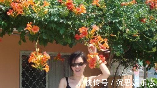 凌霄花|此花俄罗斯进口,一年花开178天,15天长满阳台,还不种一棵