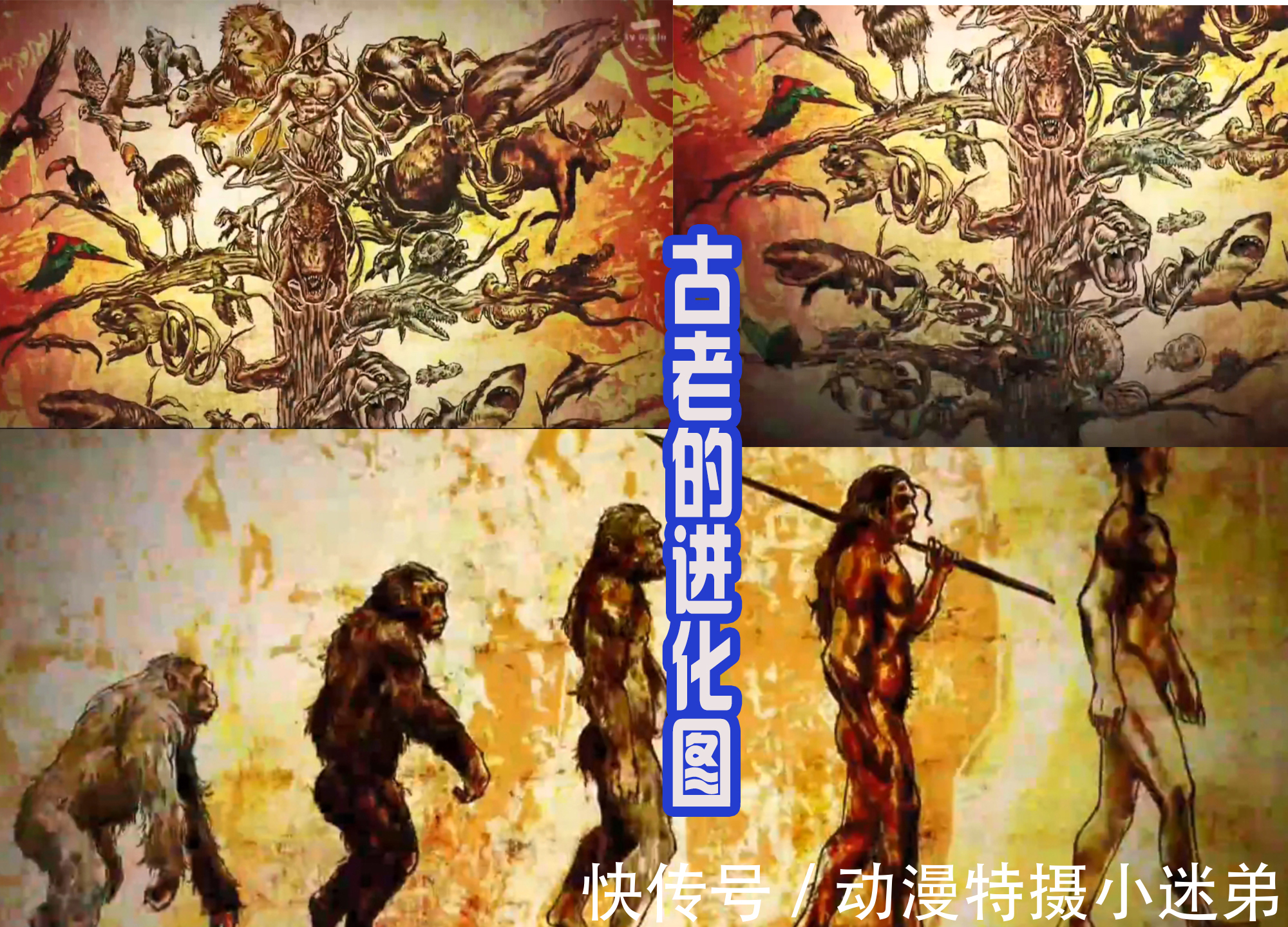恶魔|新骑士片头曲信息量巨大,男主黑化预定,菲尼克斯是邪恶组织!