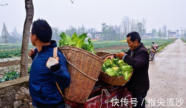 华夏$故事:一夜情深(小小说)