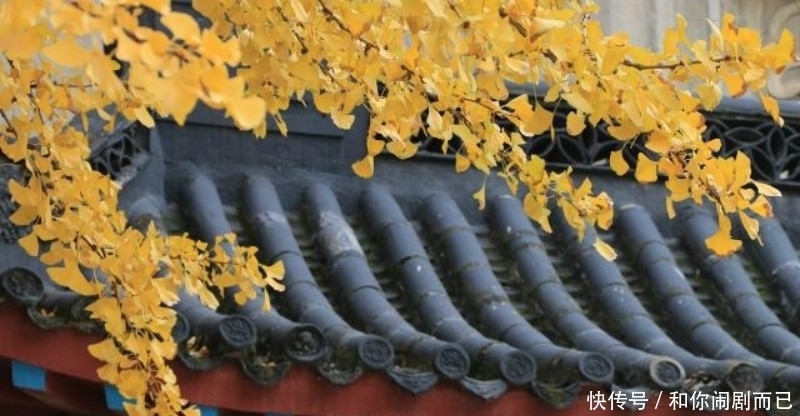 诗人$高僧临终前写下平生唯一一首诗,短短28字,写出世人最向往的晚年